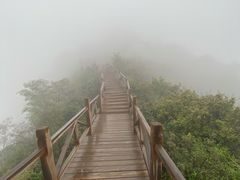 -大岭沟猕猴桃谷风景区