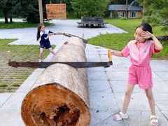 -五营红松林海景区