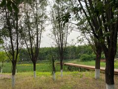 -东郊湿地公园