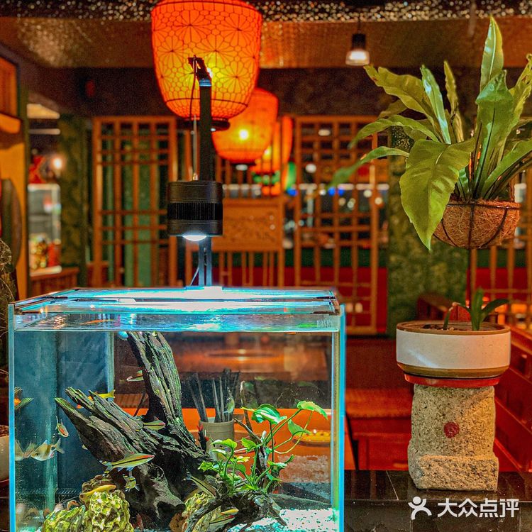 超赞的🔥地道老北京铜炉火锅