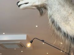 -Vanillacafe香草咖啡(银海大世界店)