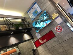-泰煌鸡·上海白斩鸡·鸡汤面(鹤庆店)