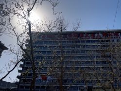 -首都医科大学附属北京儿童医院