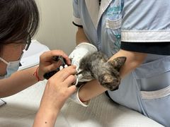 -派特宠物医院(海岸城店)