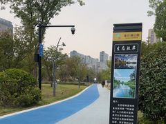 -金沙湖公园