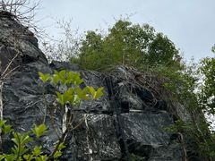 -上海吴淞炮台湾国家湿地公园