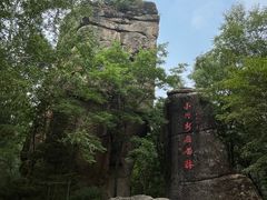 -汤旺河林海奇石景区