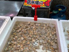 -蚝专家(北滘店)