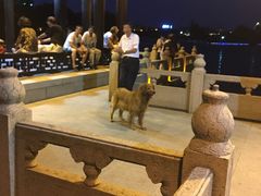 -南通濠河风景名胜区