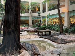 -麒麟中餐厅·经典粤菜·地道菜式老字号(广州长隆酒店)