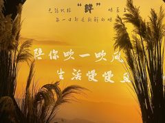 -扬之阿李菌汤火锅(1969店)