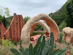 -深圳仙湖植物园