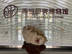 -青岛贝壳博物馆