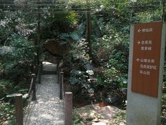 -滴水岩森林公园
