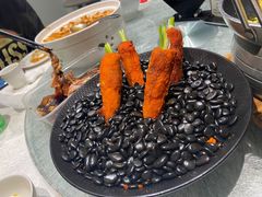 -丁老爷子苏香圆
