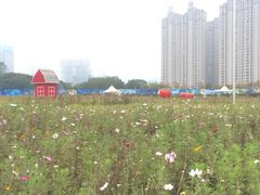 -后襄河公园