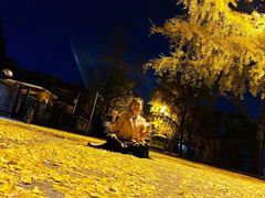 -三里屯东五街银杏大道
