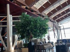 -苏州金鸡湖中茵皇冠假日酒店