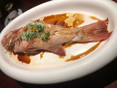 东星斑-解香楼(八盘岭路店)