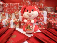 -杭州开元森泊度假乐园