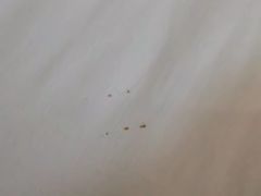 -锦上四季酒店(成都东站店)