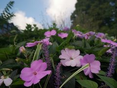 -九宫山风景区
