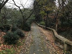 -雨花胜境