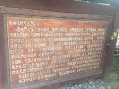 -呀路古热带植物园