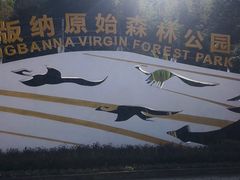 -西双版纳原始森林公园