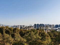 -金鸡山公园