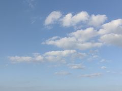 -海口万豪·大堂吧·望海吧.日落海景·下午茶·奶茶·咖啡·轻食·蛋糕·鸡尾酒·清吧