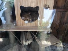 -边渡咖啡烘焙店(昙华林店)