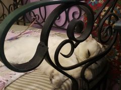 -广州迷途主题旅馆(海珠广场店)