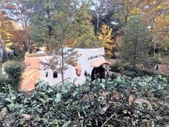 -三鹰之森吉卜力美术馆