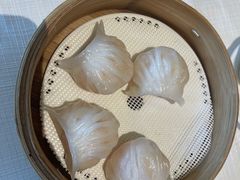 -金悦轩海鲜城(渔人码头店)