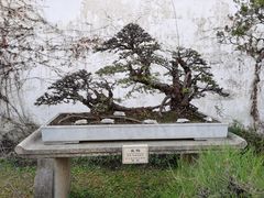 -拙政园