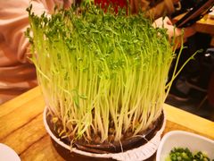-好彩猪肚鸡(正弘城店)