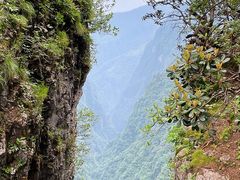-峨眉山风景名胜区