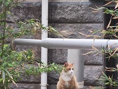 -炎黄艺术馆