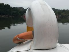 -白马涧龙池景区
