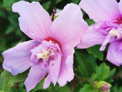 -渭河城市绿地运动公园