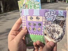 -青藏高原野生动物园