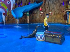 -烟台海昌鲸鲨海洋公园