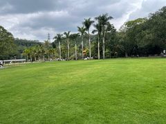 -深圳仙湖植物园