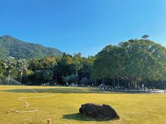 -深圳仙湖植物园