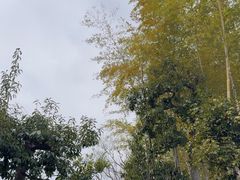 -天龙寺