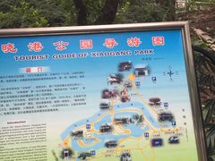 -晓港公园