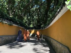 -普陀山风景名胜区-法雨禅寺