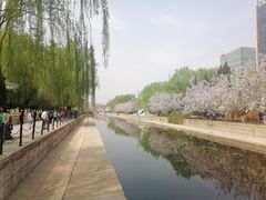 -元大都城垣遗址公园