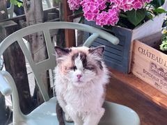 -小时光咖啡馆(北锣鼓巷店)